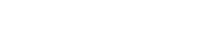 TMV Tax Partners